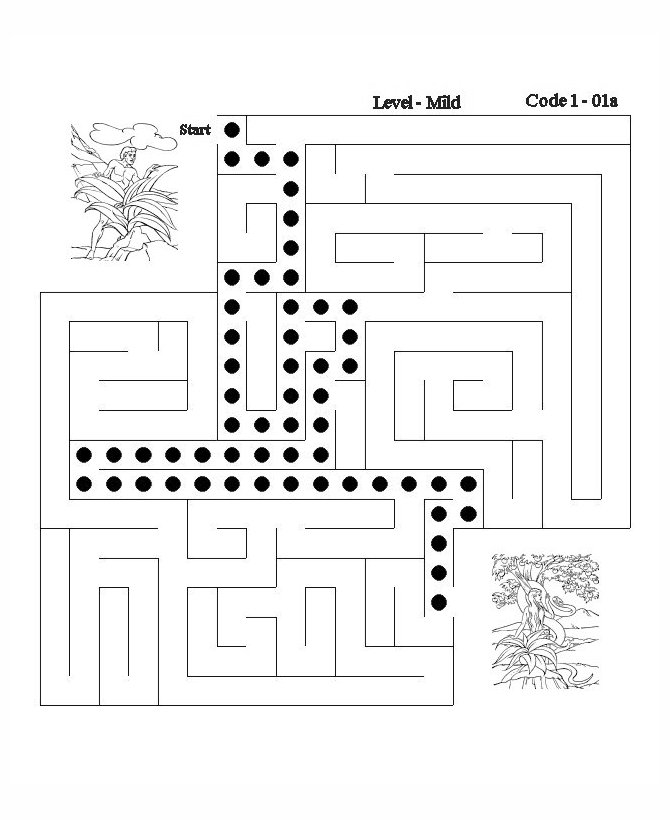 Bible Lesson Activity Maze (answer) - Adam and Eve