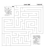 Bible Mazes 