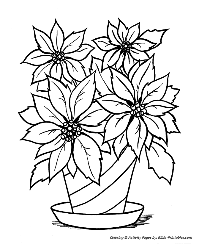  Christmas Poinsettia Coloring Pages 8
