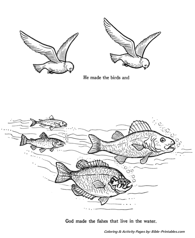 birds of the bible coloring pages