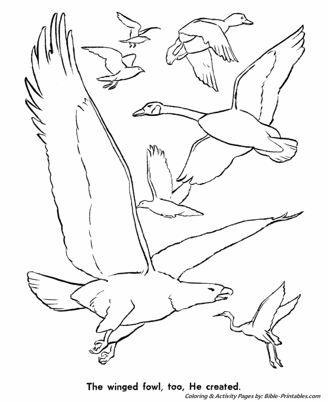 birds of the bible coloring pages