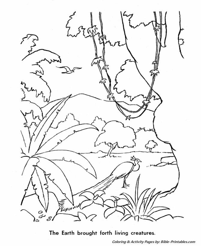 day 6 of creation coloring pages - photo #26