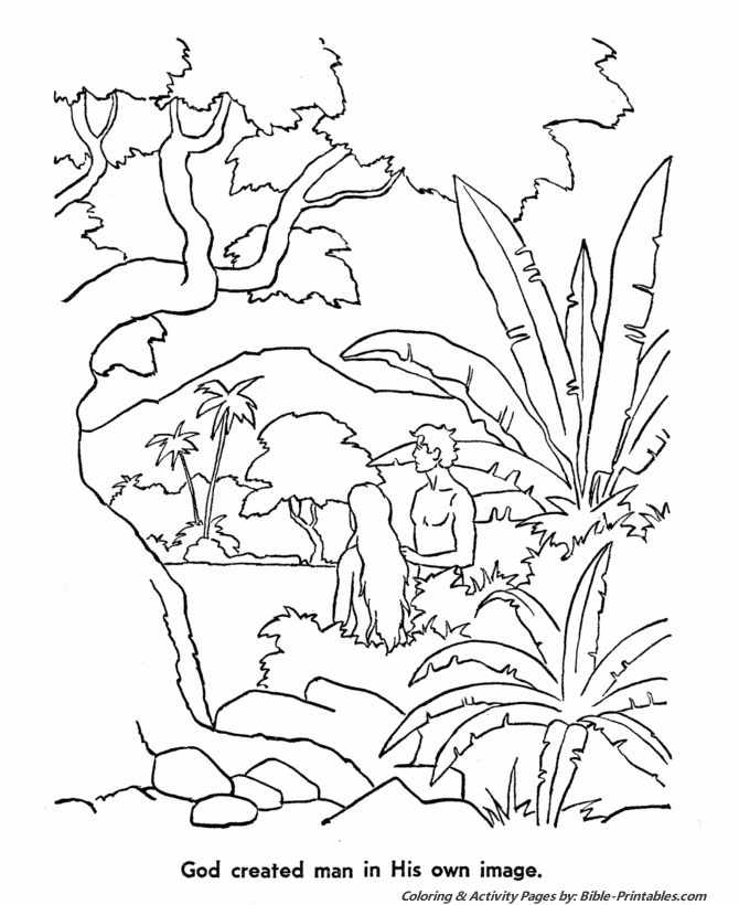 The Biblical Creation Story Coloring Pages 6a