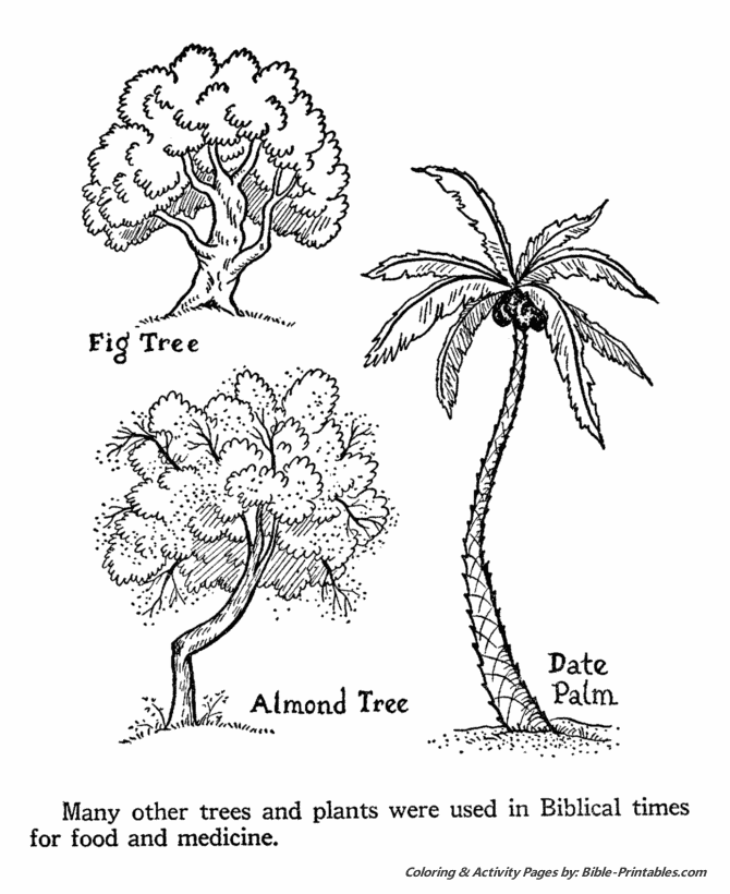 Bible Life and Times Coloring Pages 16