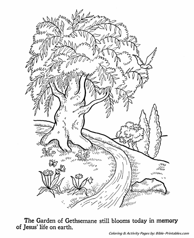 Bible Life and Times Coloring Pages - Gethsemane Garden | Bible-Printables