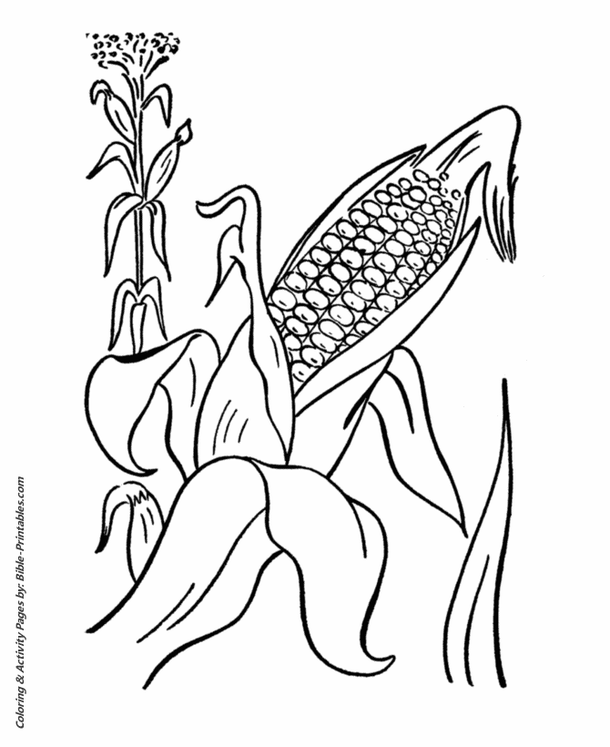 Thanksgiving Dinner Coloring Pages