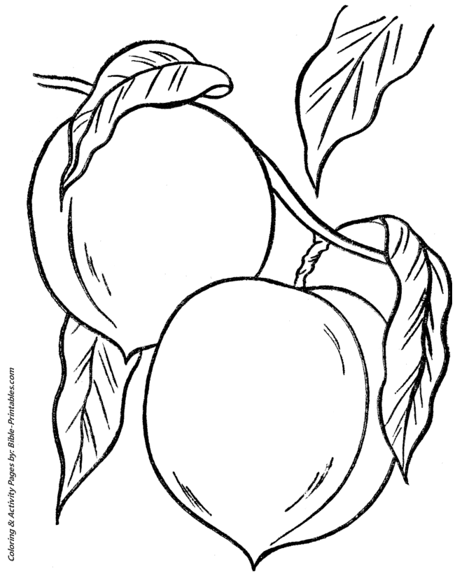 Thanksgiving Dinner Coloring Pages