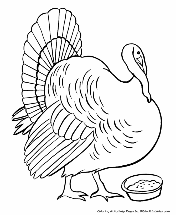 Thanksgiving Scenes and Fun Coloring Pages