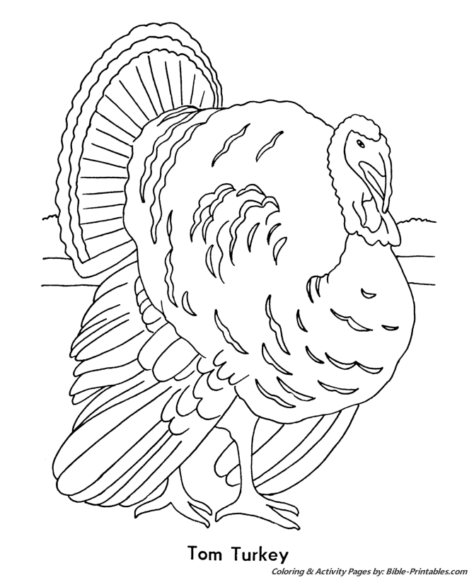 Thanksgiving Scenes and Fun Coloring Pages